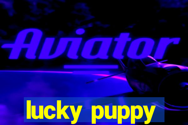 lucky puppy