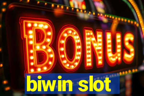 biwin slot