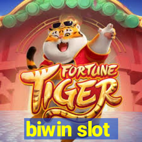 biwin slot