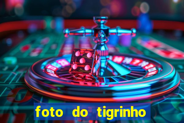 foto do tigrinho do jogo