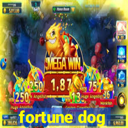 fortune dog