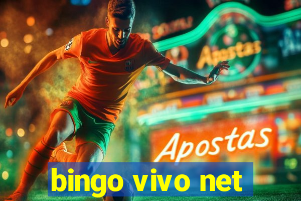 bingo vivo net