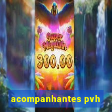 acompanhantes pvh