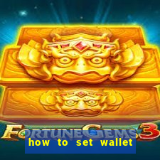 how to set wallet password in bingo plus