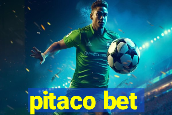 pitaco bet