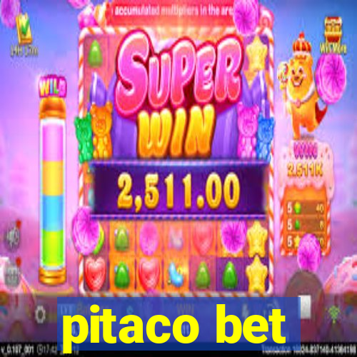 pitaco bet