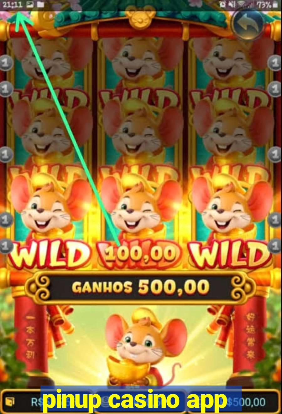 pinup casino app