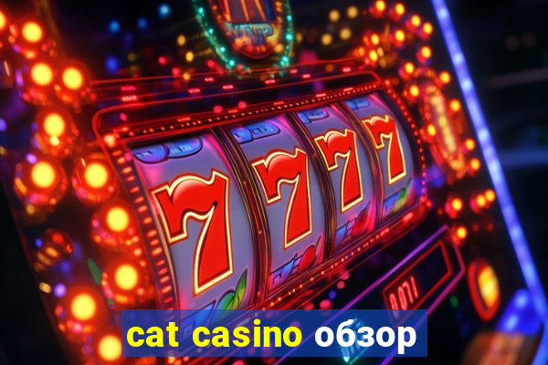 cat casino обзор