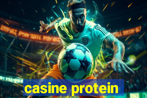 casine protein