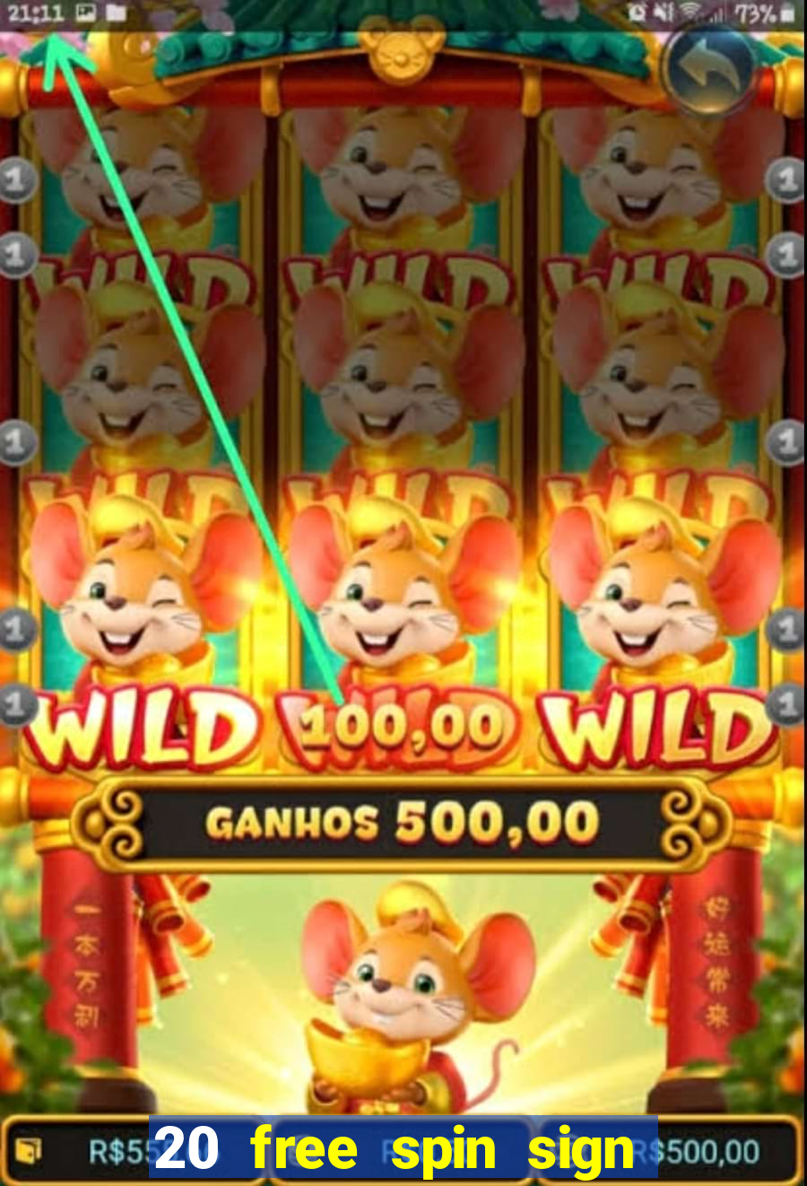 20 free spin sign up casino