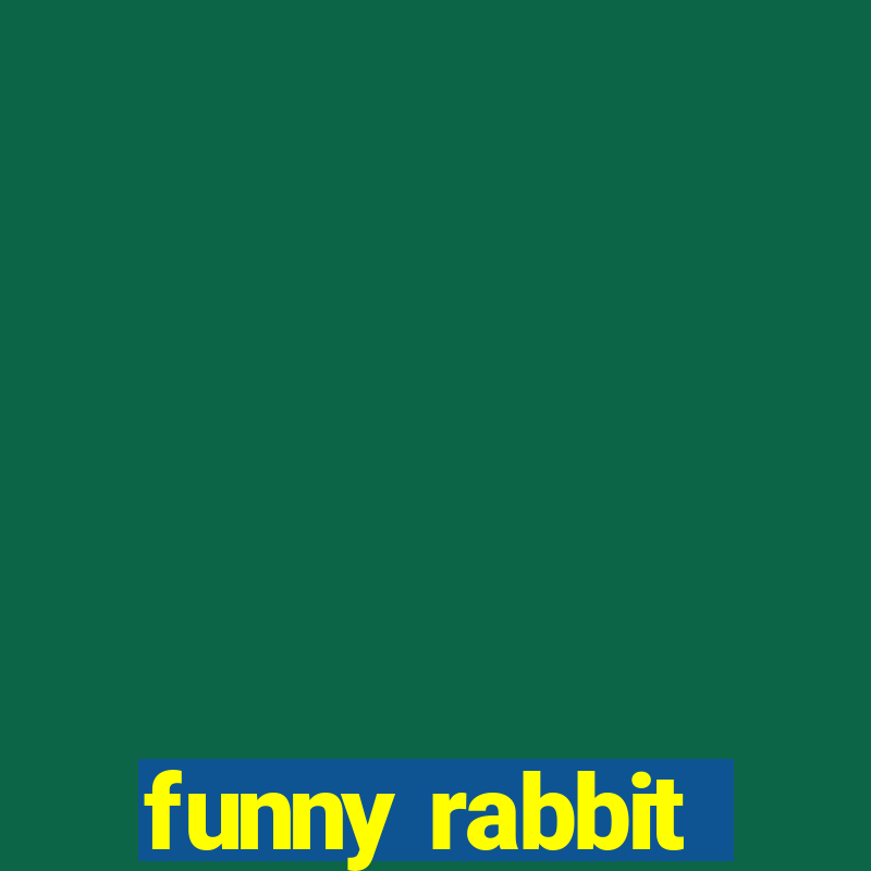 funny rabbit