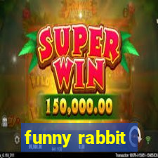 funny rabbit