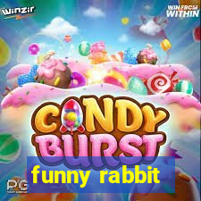 funny rabbit