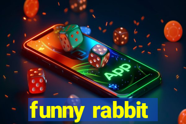 funny rabbit