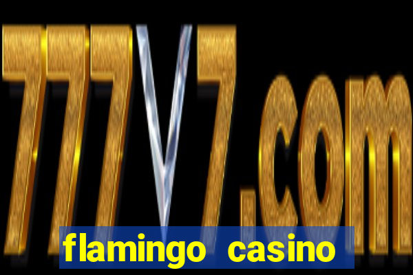 flamingo casino hotel las vegas