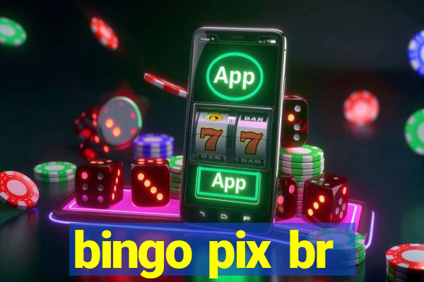 bingo pix br