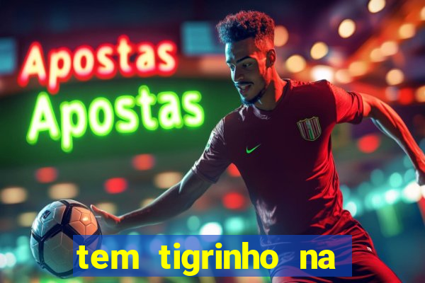 tem tigrinho na bet 365