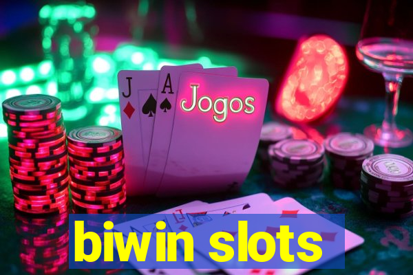 biwin slots