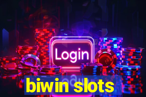 biwin slots