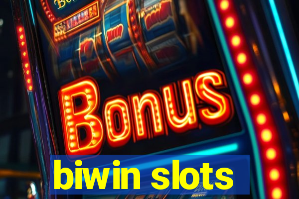 biwin slots