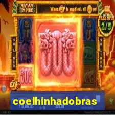 coelhinhadobrasil