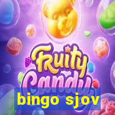 bingo sjov