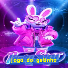 jogo do gatinho para ganhar dinheiro