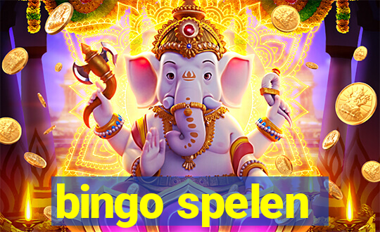 bingo spelen