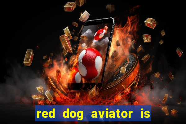 red dog aviator is real or fake