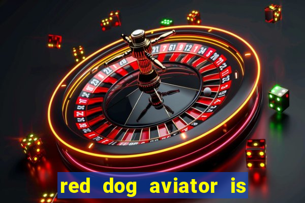 red dog aviator is real or fake