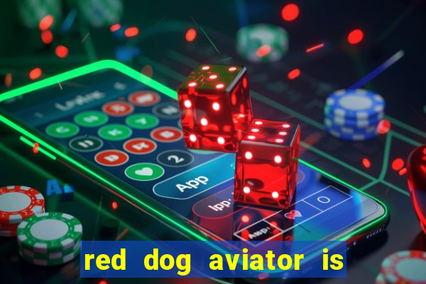 red dog aviator is real or fake