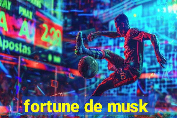 fortune de musk