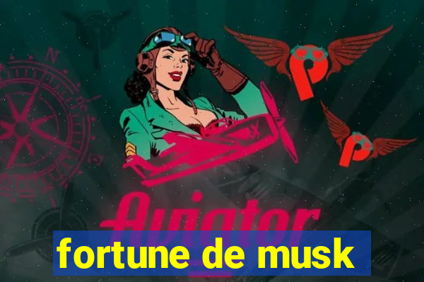 fortune de musk