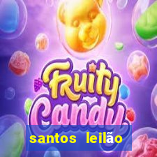 santos leilão passo fundo