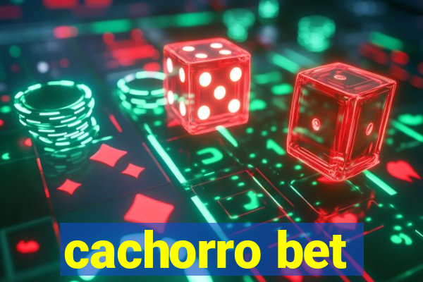 cachorro bet