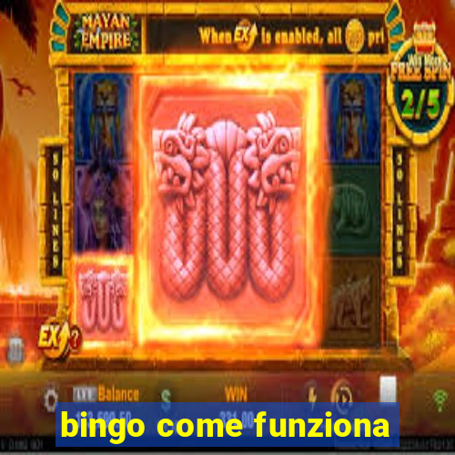 bingo come funziona