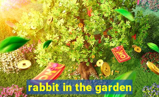 rabbit in the garden