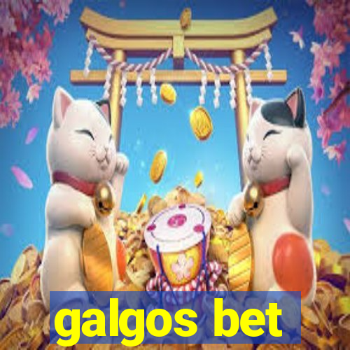 galgos bet