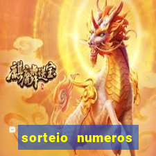 sorteio numeros bingo online