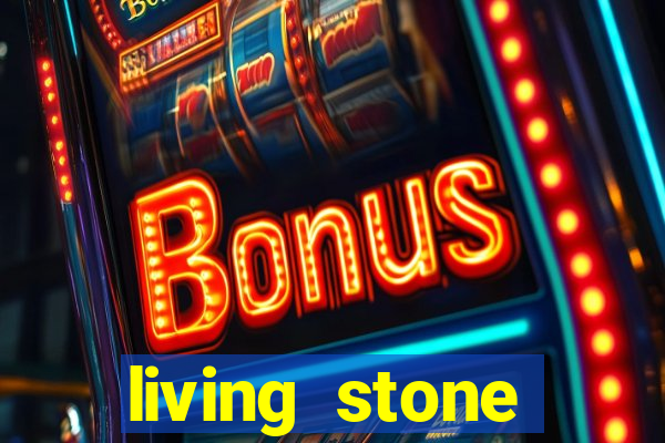 living stone network tv