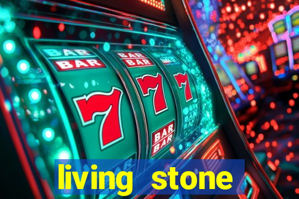 living stone network tv