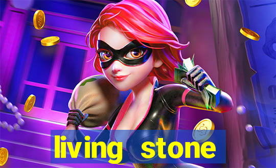 living stone network tv