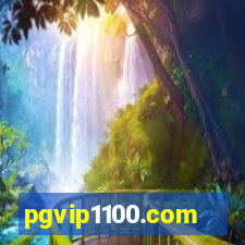 pgvip1100.com