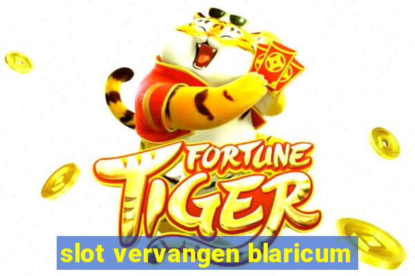 slot vervangen blaricum