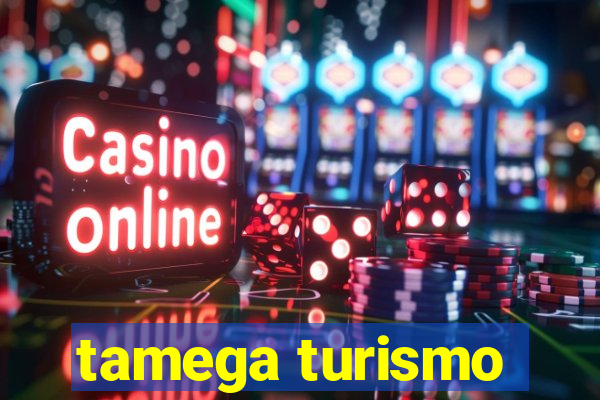 tamega turismo