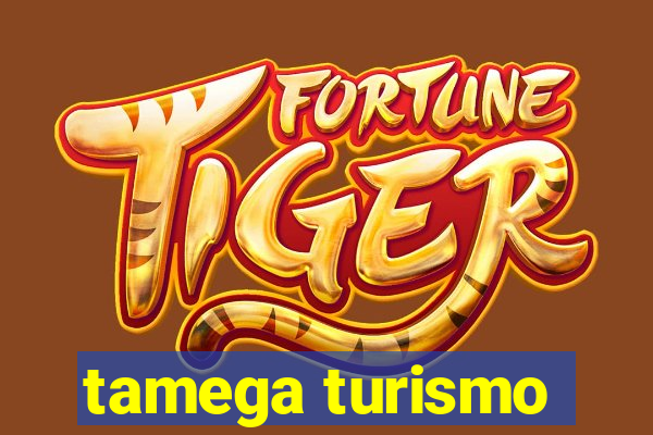 tamega turismo