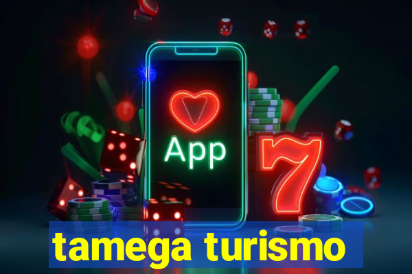 tamega turismo