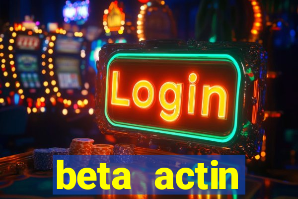 beta actin molecular weight