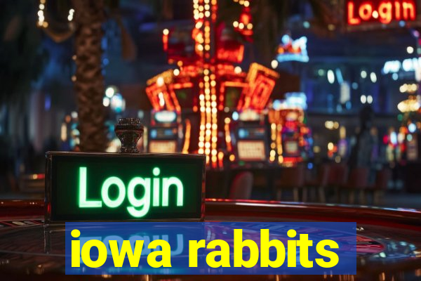 iowa rabbits