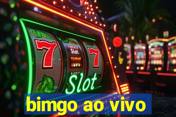 bimgo ao vivo